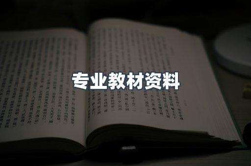 外文电子书系列